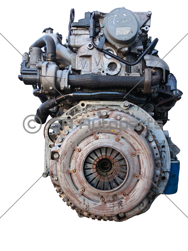 D4CB (delphi) HYUNDAI H1 VAN motor engine
